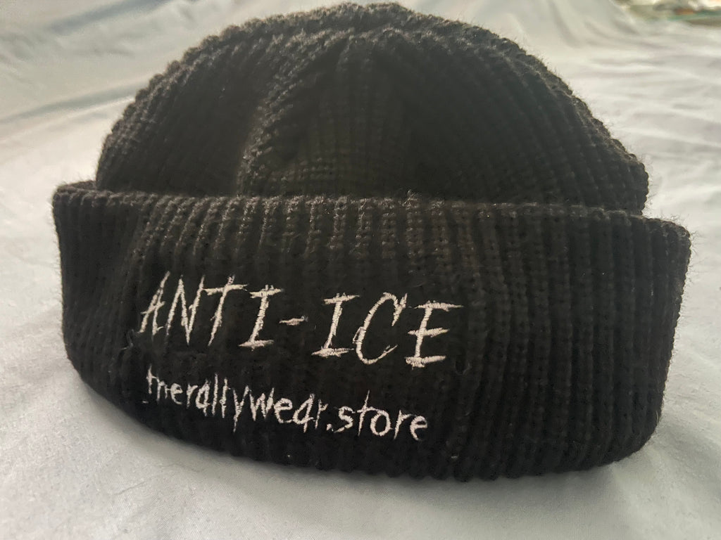 Anti-ICE fisherman beanie